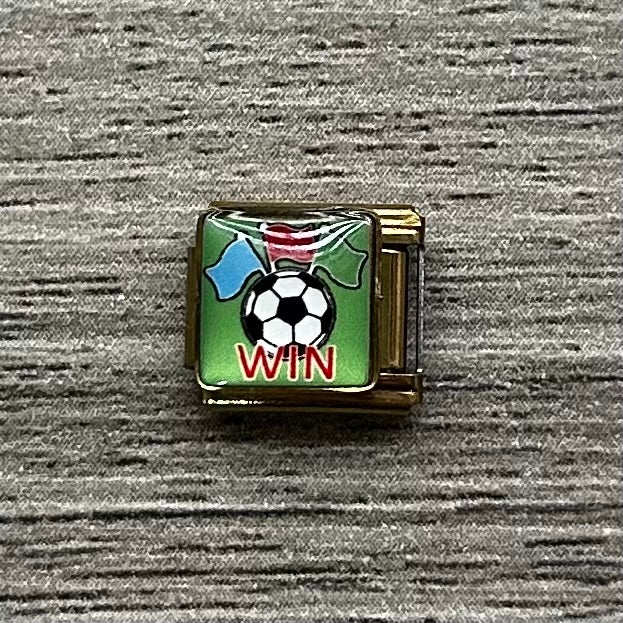 CHARM Win