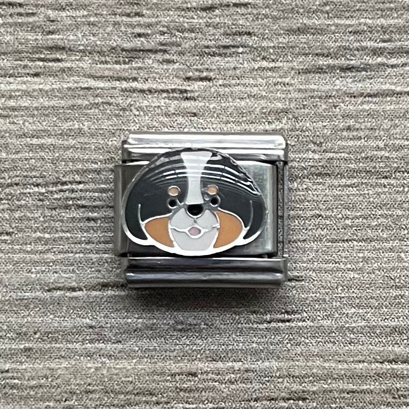 CHARM Perrito Boyero de Berna 🐶