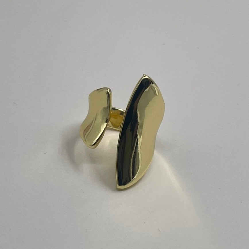 Anillo Encontrado
