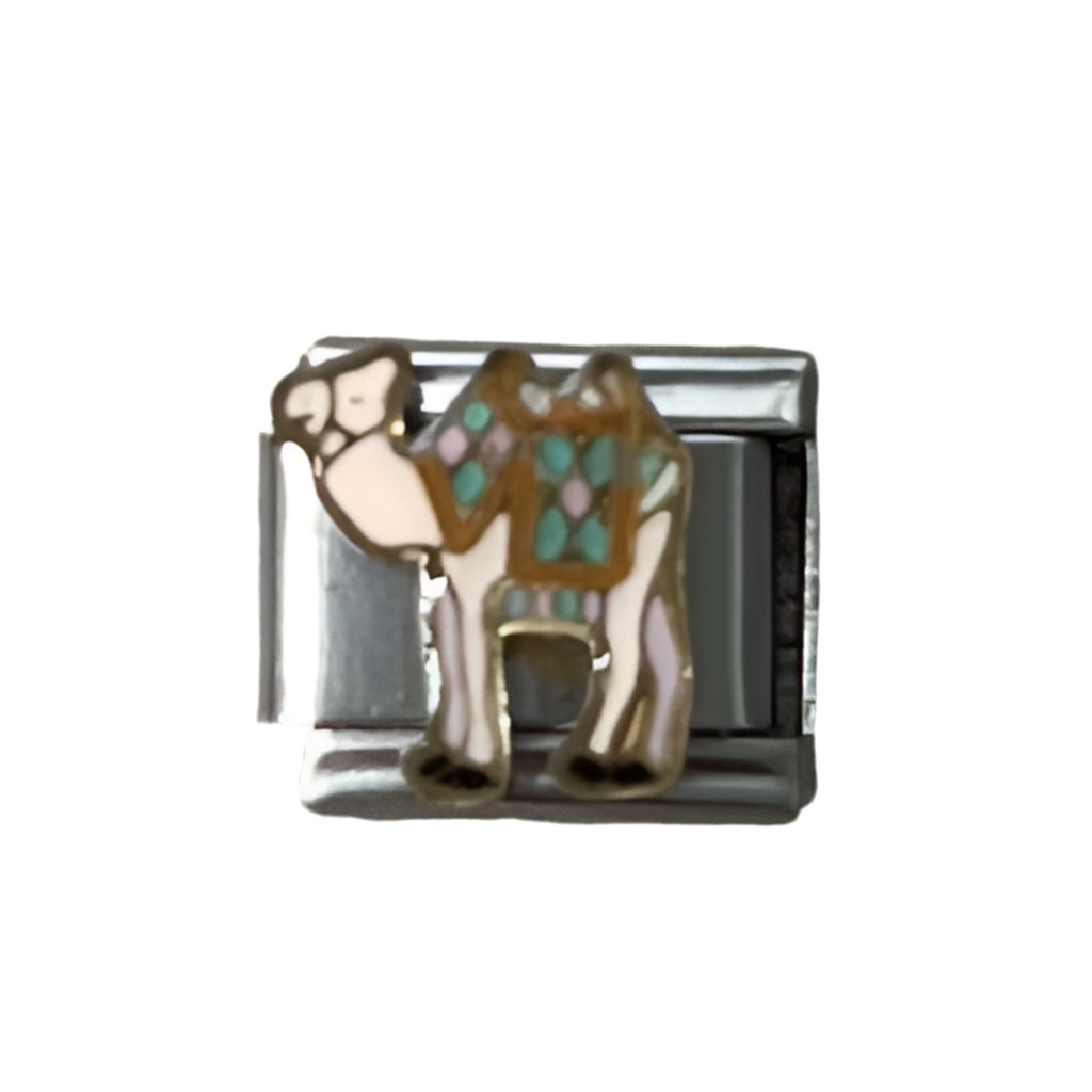CHARM Camello 🐫