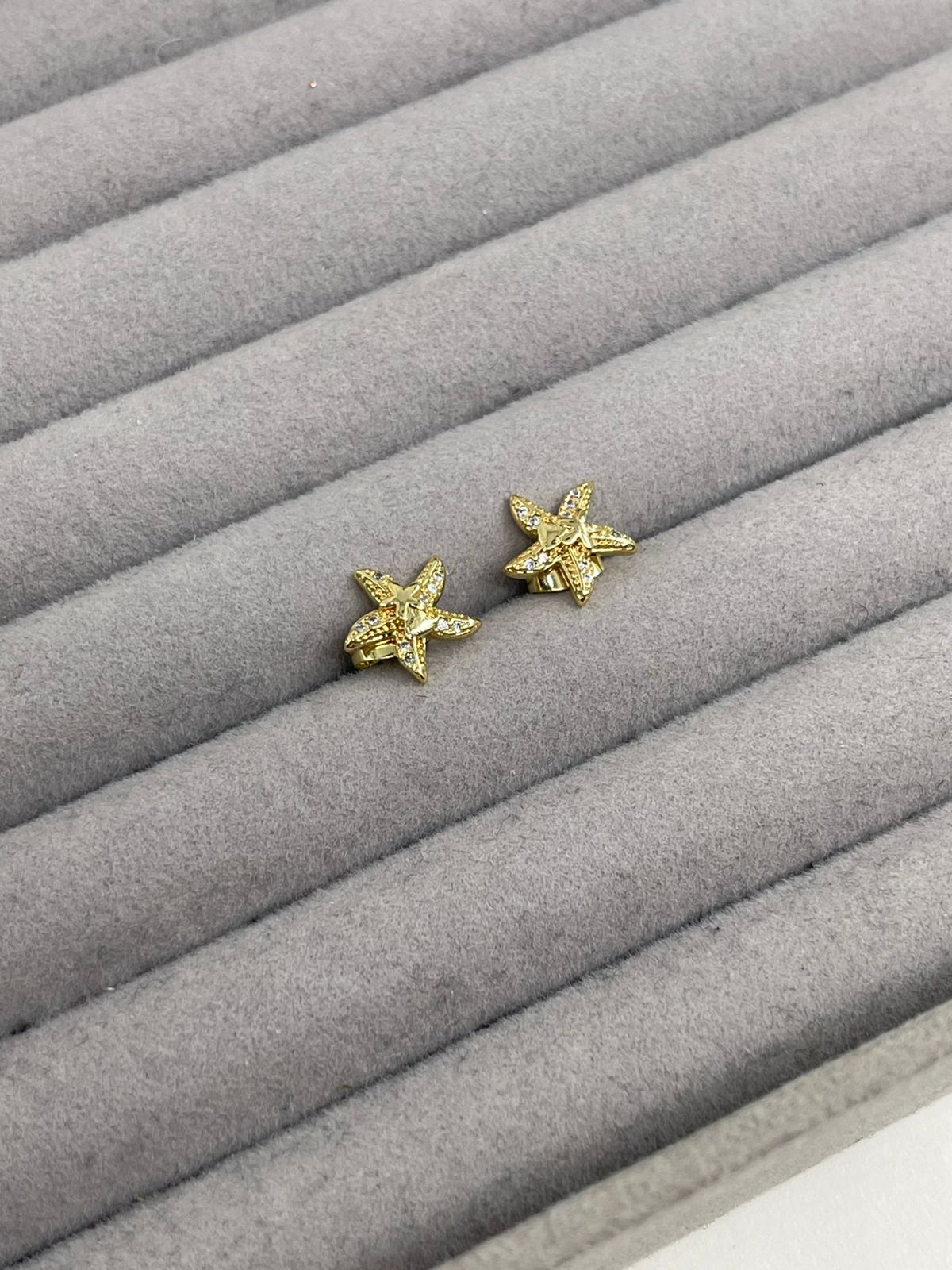 Aretes Estrella de Mar Zirconia