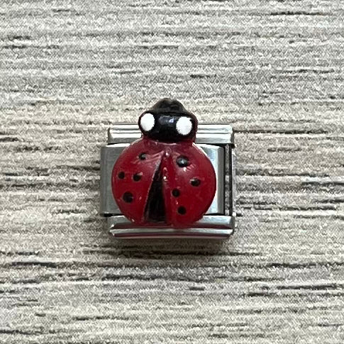 CHARM Catarina 🐞