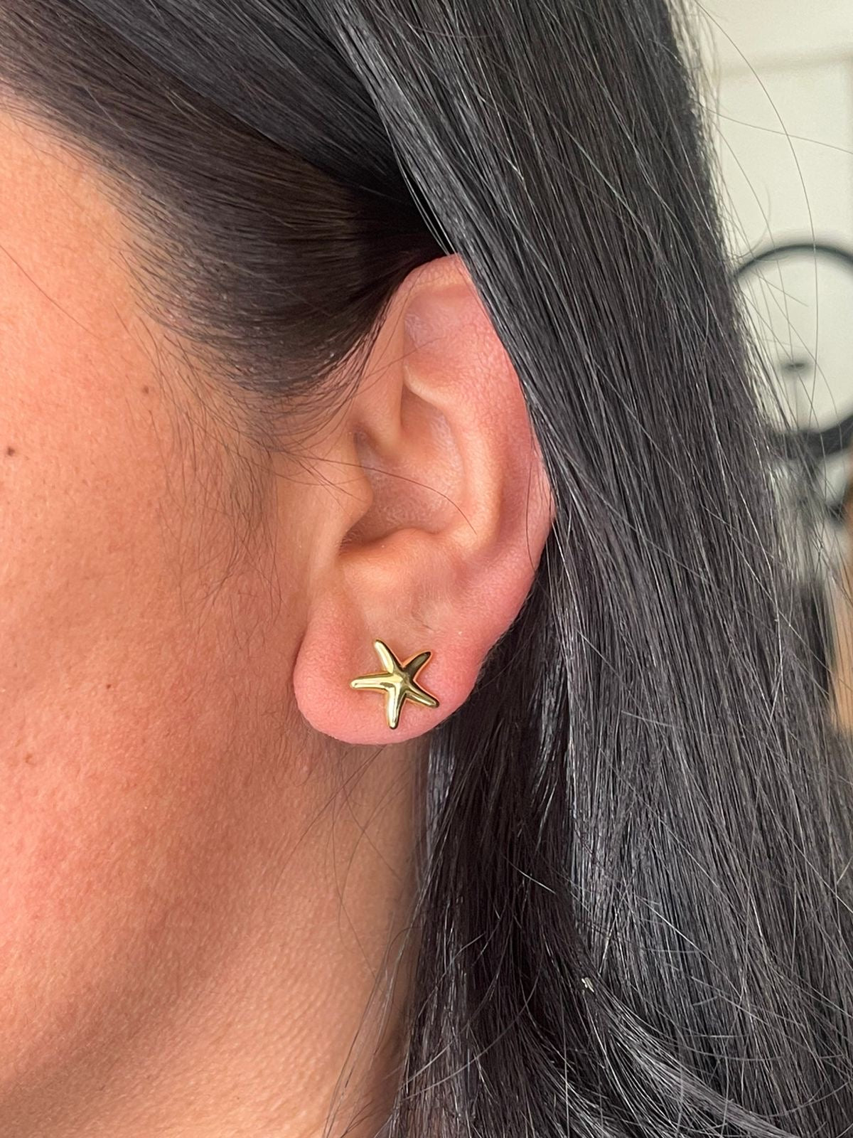 Aretes Estrella de Mar mini