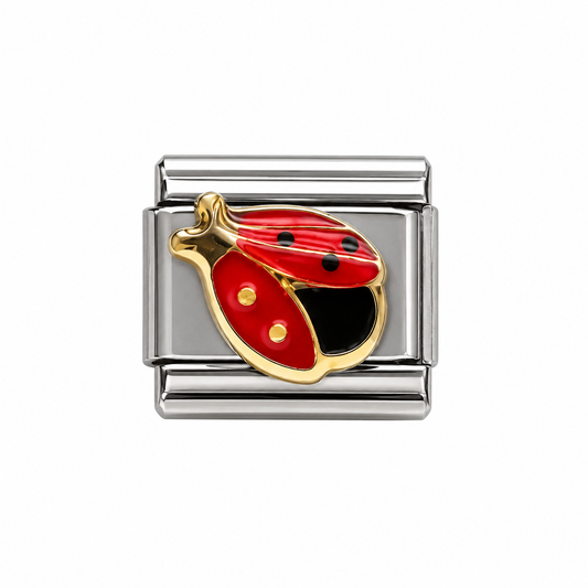 CHARM Catarina plana