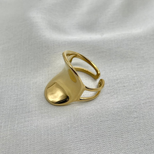 Anillo columpio