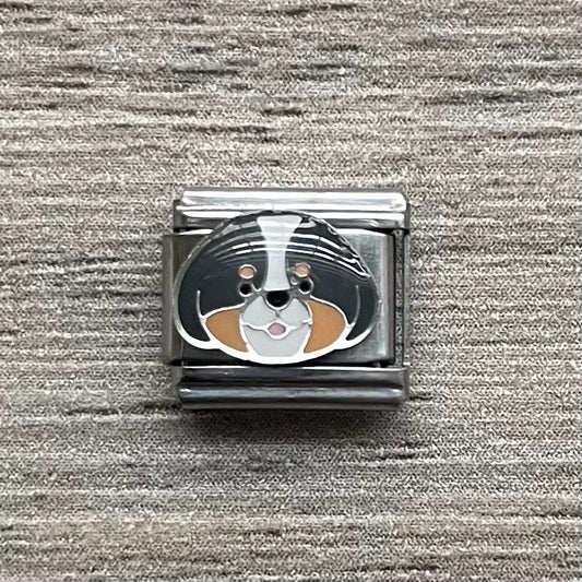 CHARM Perrito Boyero de Berna 🐶