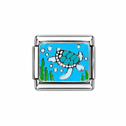 CHARM Tortuga Marina