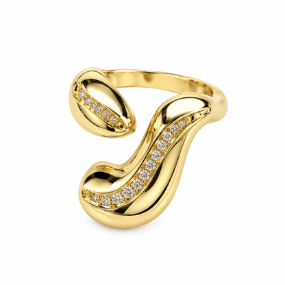 Anillo