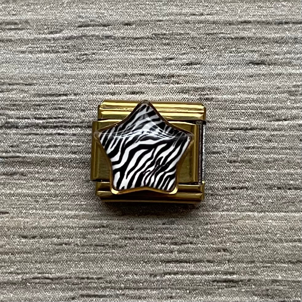 CHARM Cebra