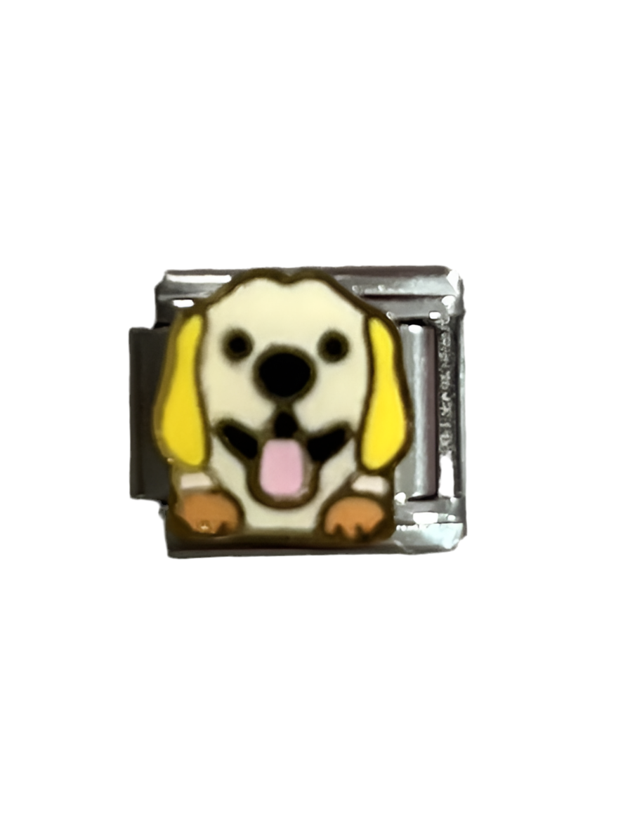 CHARM Perrito Labrador
