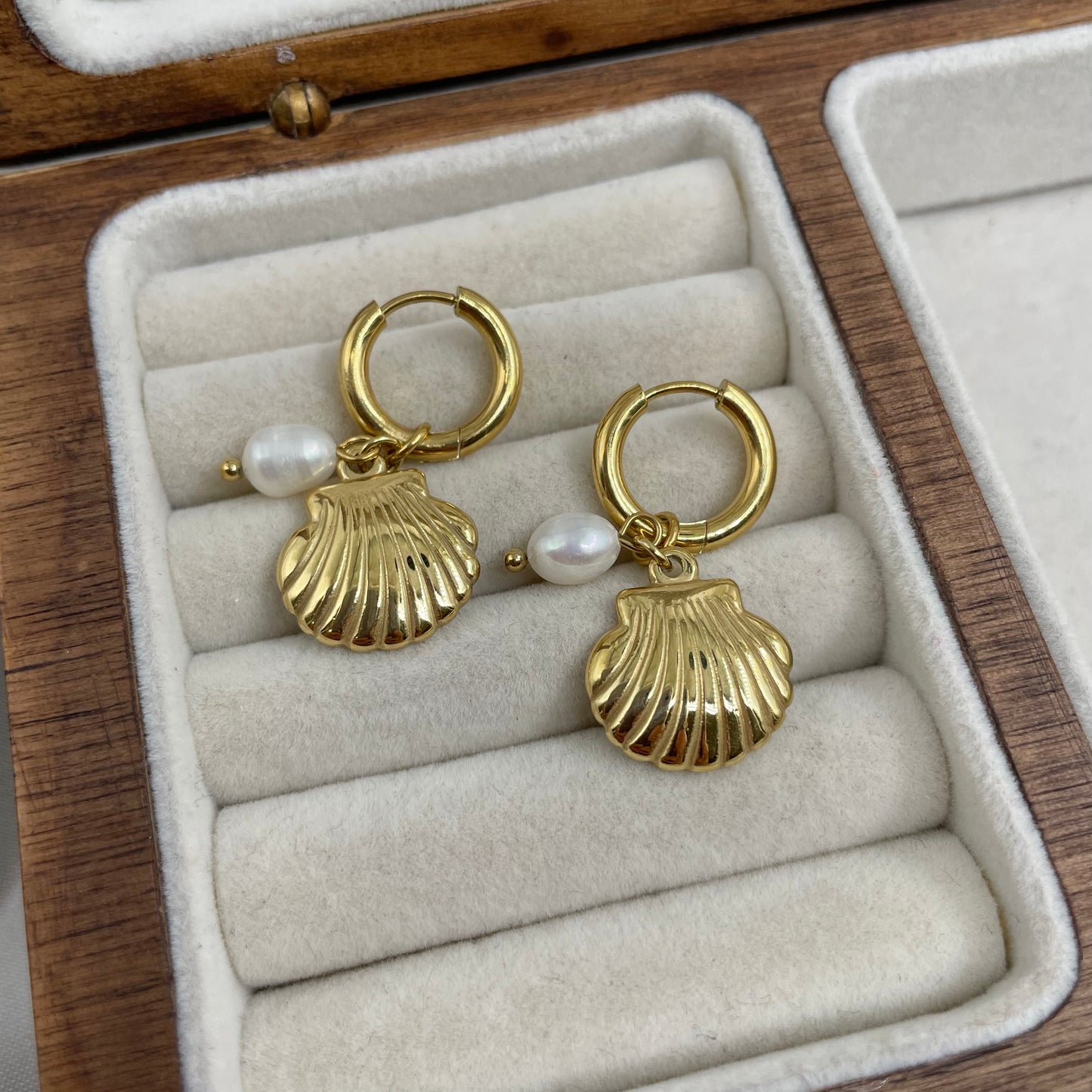 Arracada Concha y Perla 🐚