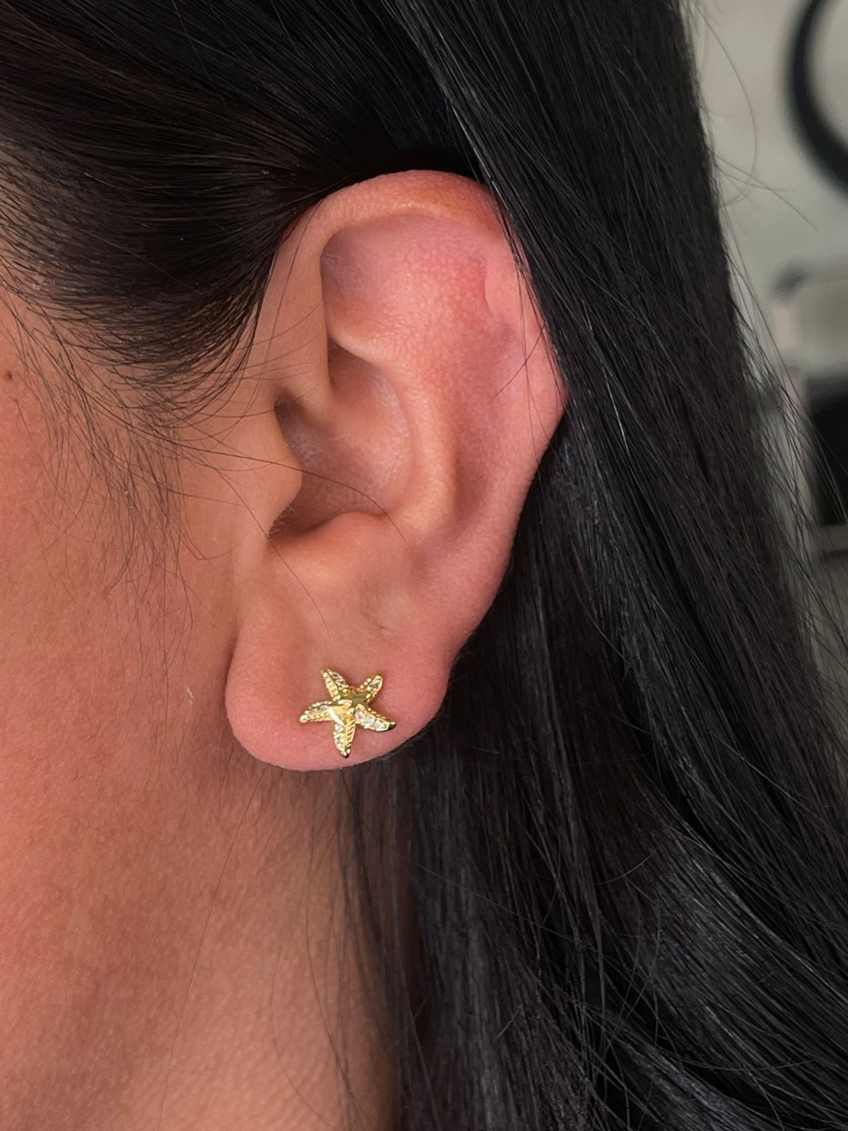 Aretes Estrella de Mar Zirconia