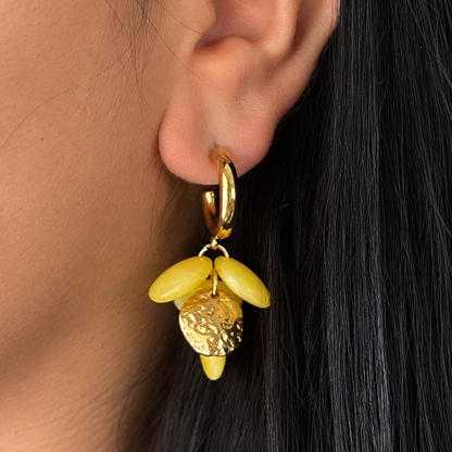 Aretes Discos Colgante