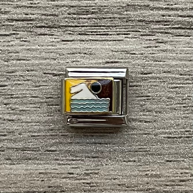 CHARM Natación 🏊‍♂️