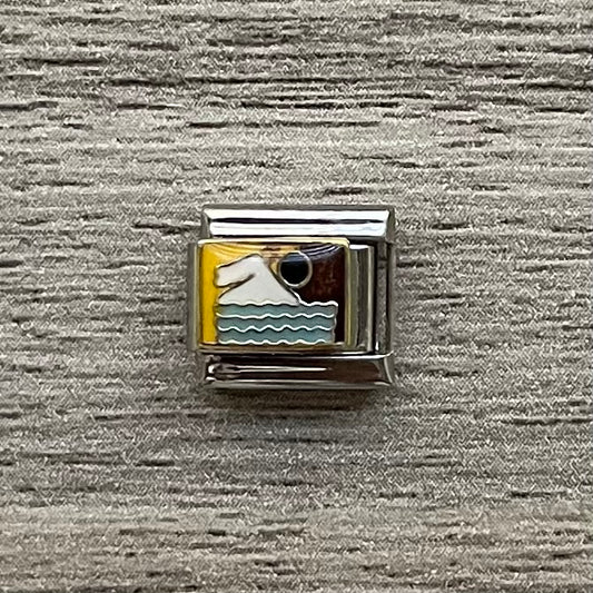 CHARM Natación 🏊‍♂️