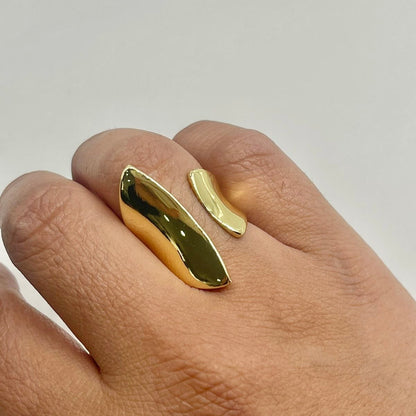 Anillo Encontrado