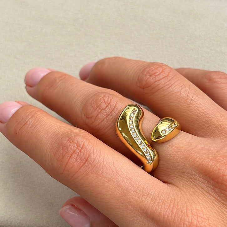 Anillo
