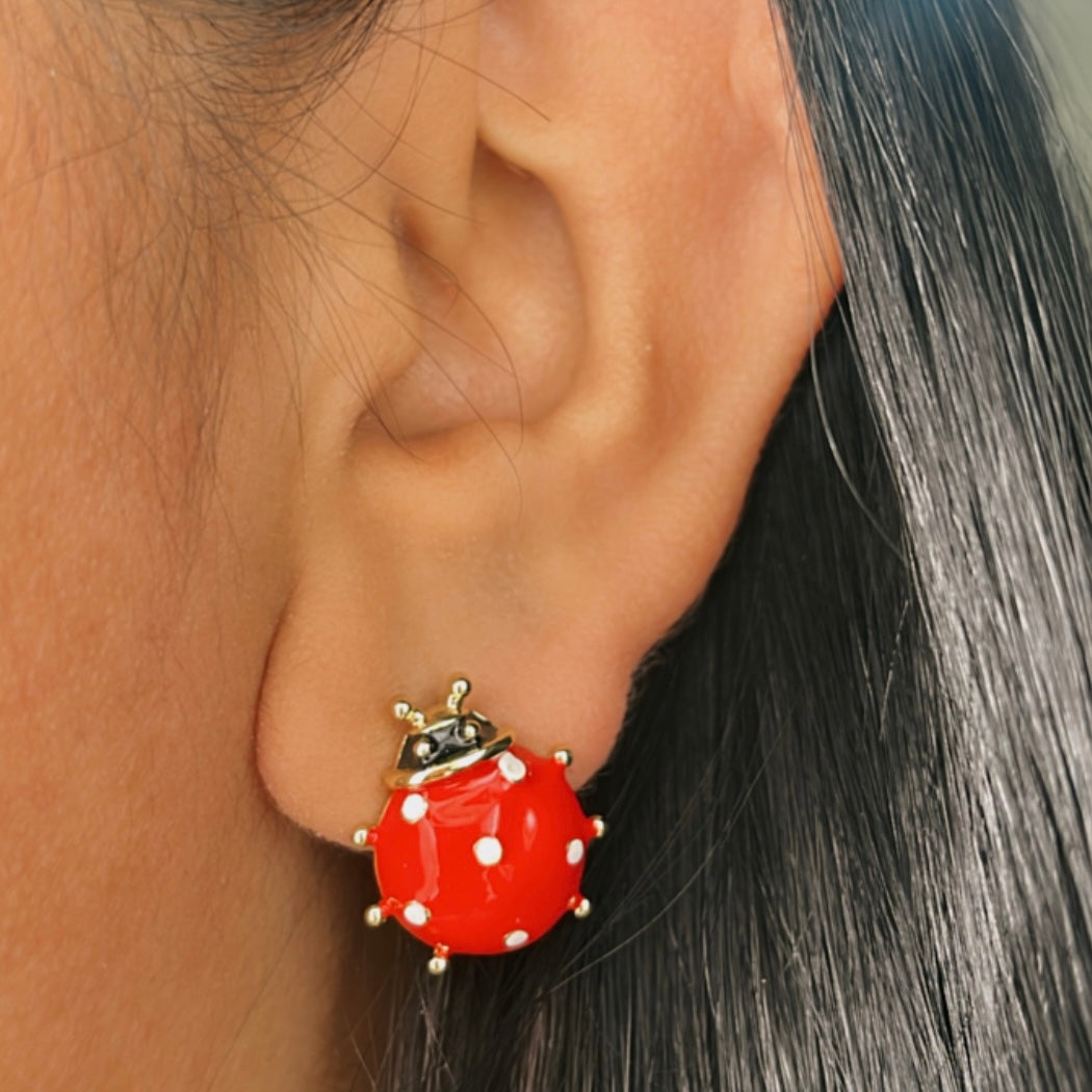 Aretes Catarina Grande 🐞