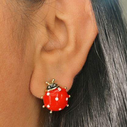 Aretes Catarina Grande 🐞