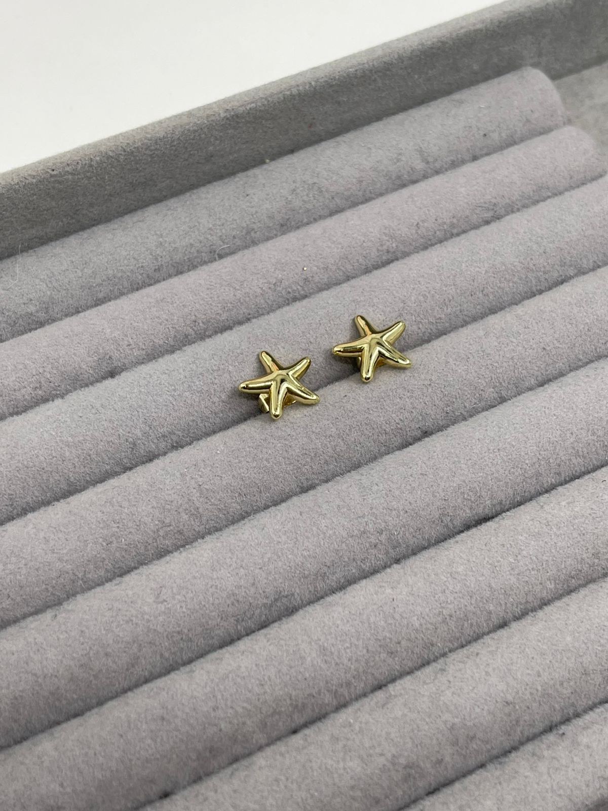 Aretes Estrella de Mar mini