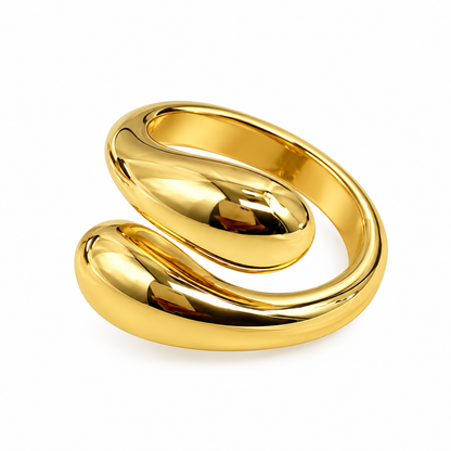 Anillo Encontrado
