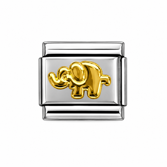 CHARM Elefante