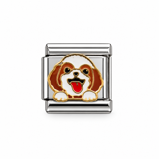 CHARM Perrito Shih Tzu