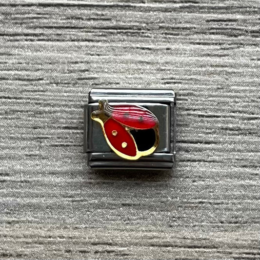 CHARM Catarina plana