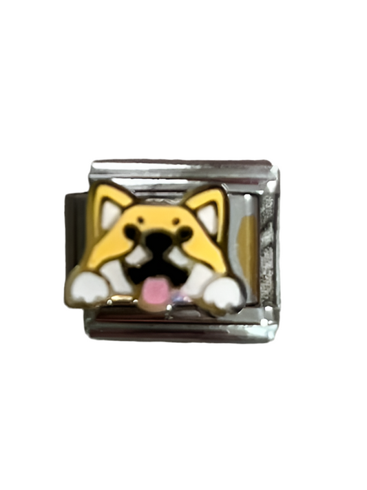 CHARM Perrito sacando la lengua