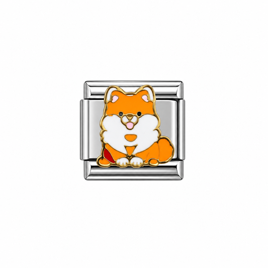 CHARM Zorrito
