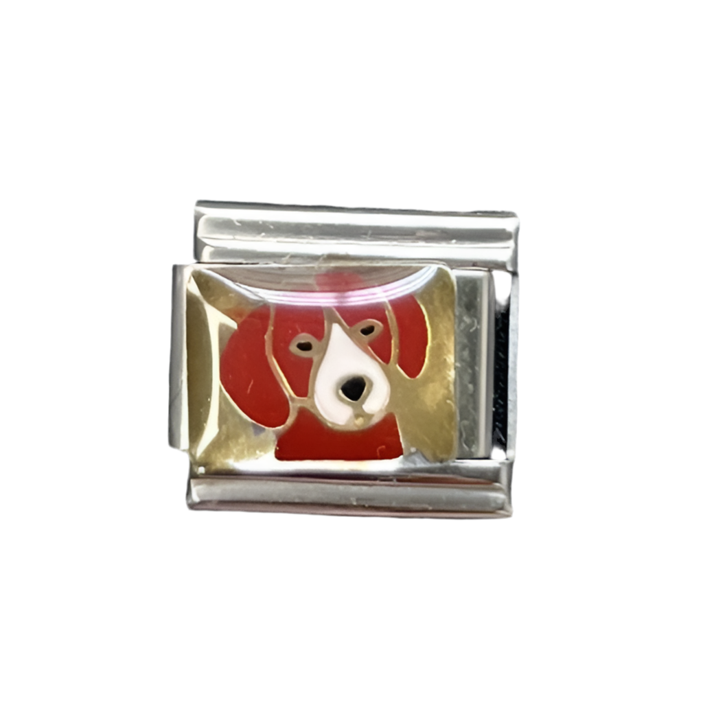 CHARM Perrito serio