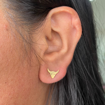 Aretes Mini Toro 🐂