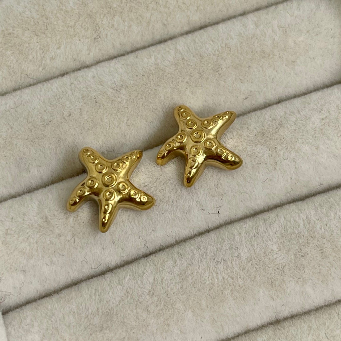 Aretes Poste Mini Estrella Mar