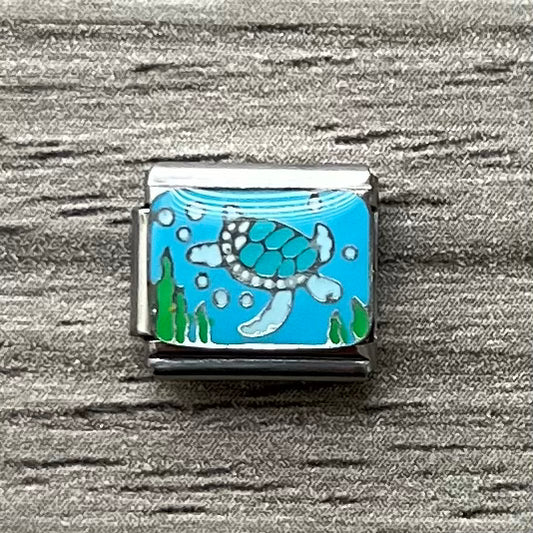 CHARM Tortuga Marina