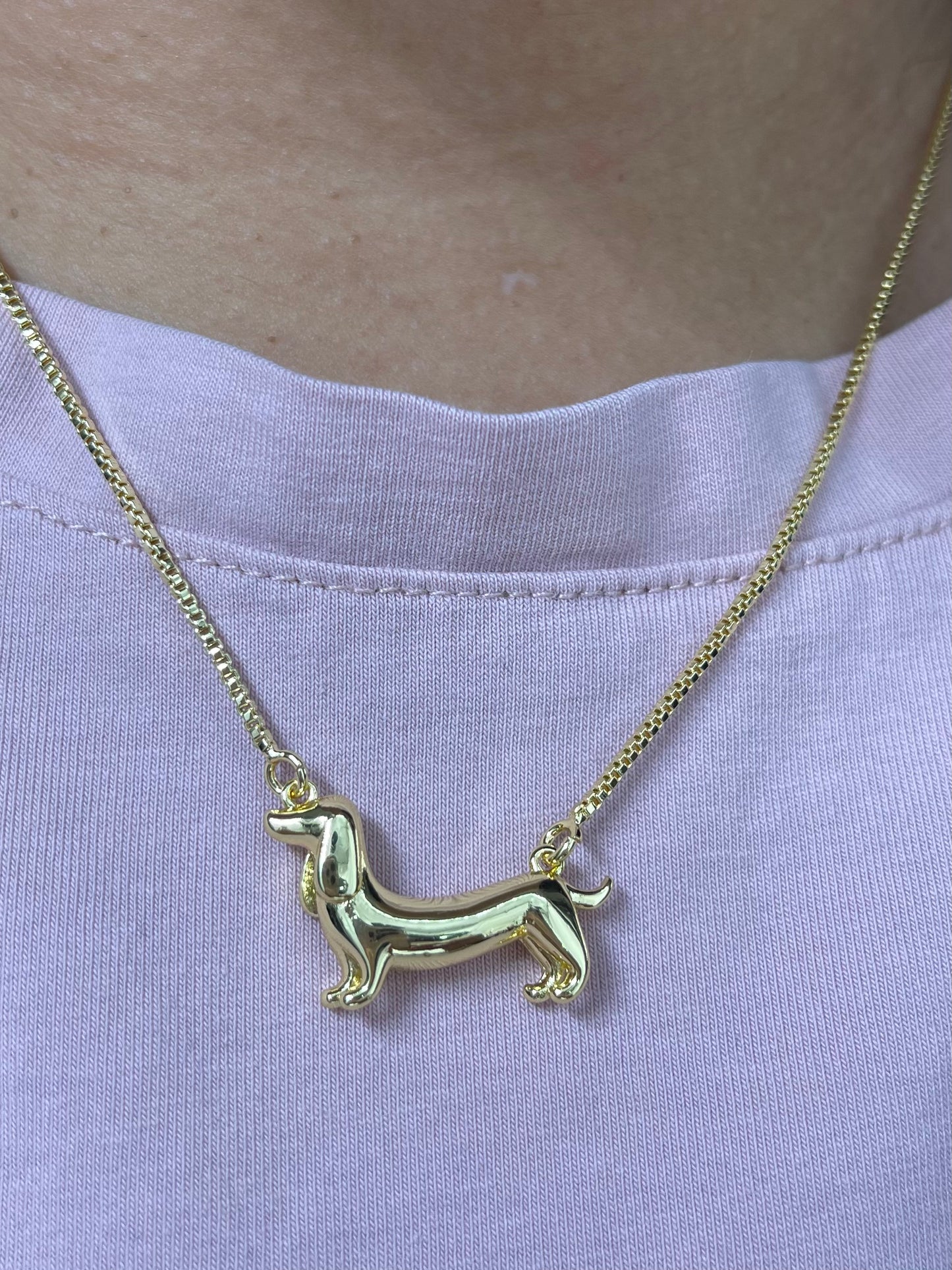 Collar Perro Salchicha