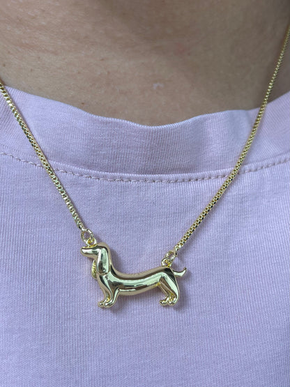 Collar Perro Salchicha