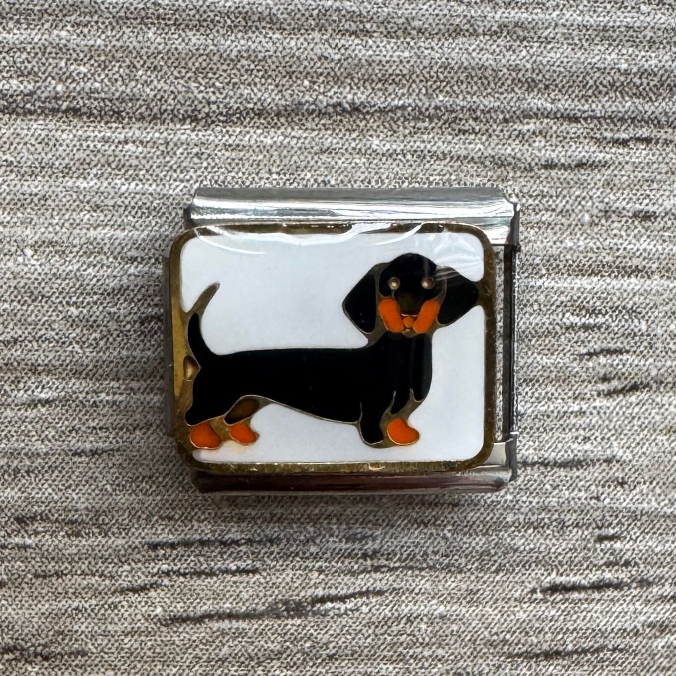 CHARM Perro Salchicha