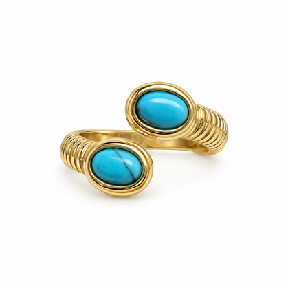 Anillo Encontrado