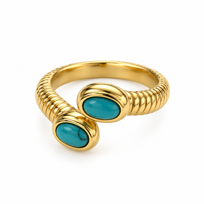 Anillo Encontrado